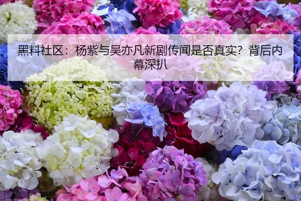 黑料社区：杨紫与吴亦凡新剧传闻是否真实？背后内幕深扒